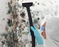 Best Attic Mold Removal in Latham, NY